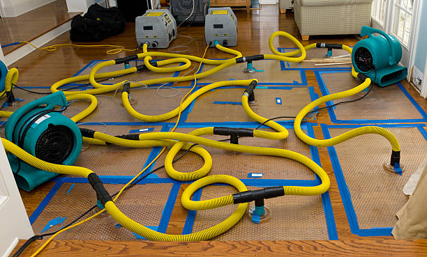 Professional Sewage Cleanup technician working in Walstonburg, NC
